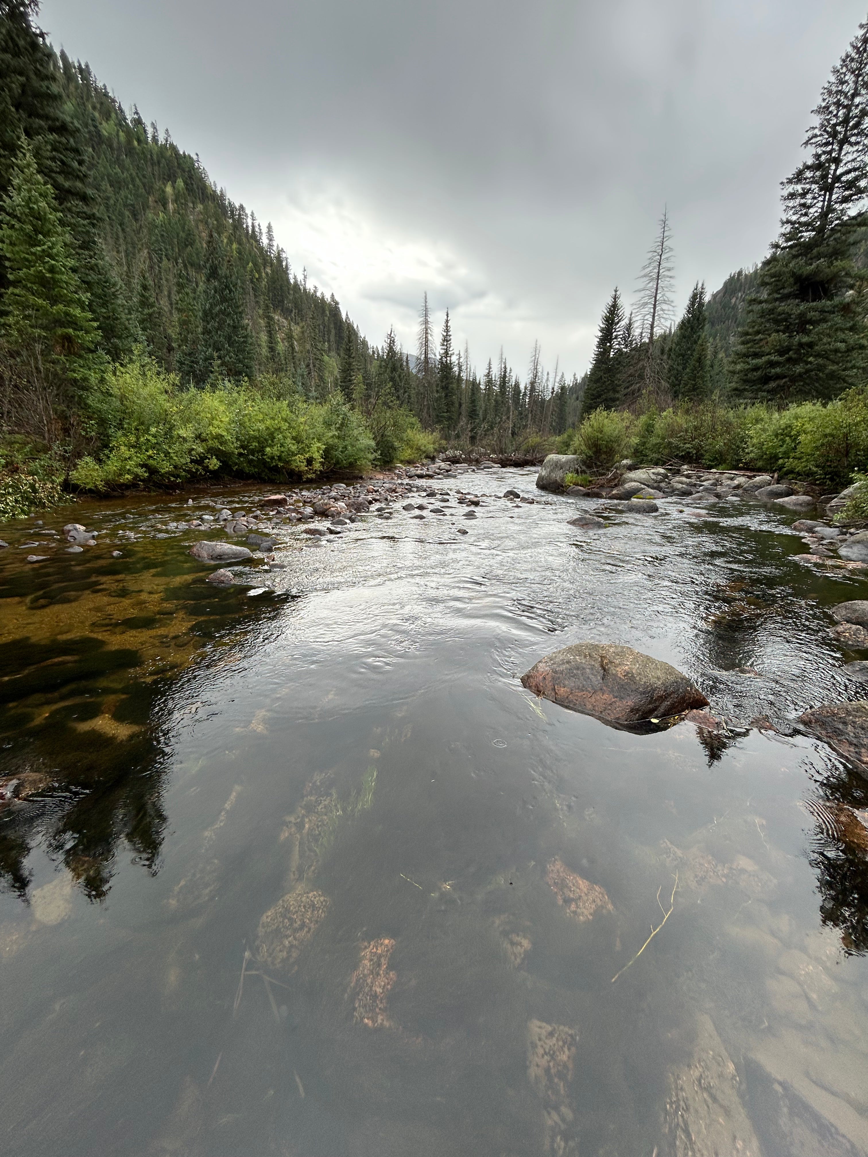 Pine River, flowing through a forest with trees and rocks on a cloudy day