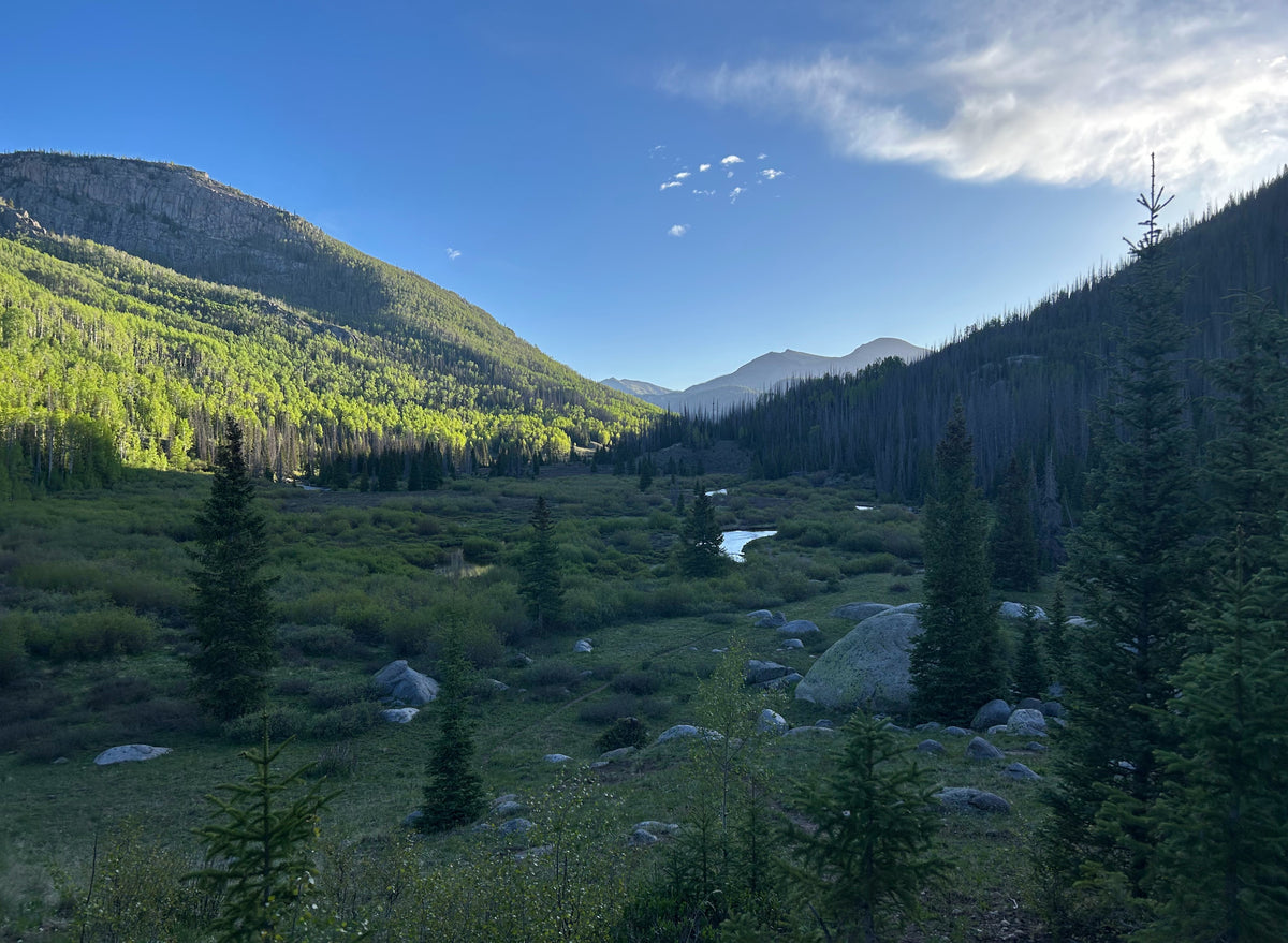 Scenic view of a mountainous landscape with trees and a clear blue sky.